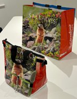 Mark's creative Carrefour boulder buckets