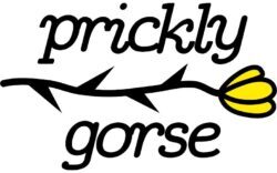 Prickly Gorse Gear Logo: Prickly Gorse text with a drawing of a golden yellow gorse flower and a spikey branch